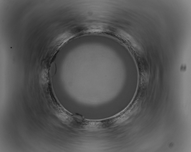 X0000101461353200807071420