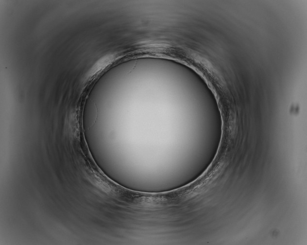 X0000101461354200807071420