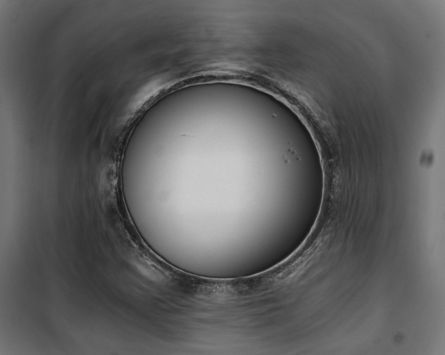 X0000101461355200807071420