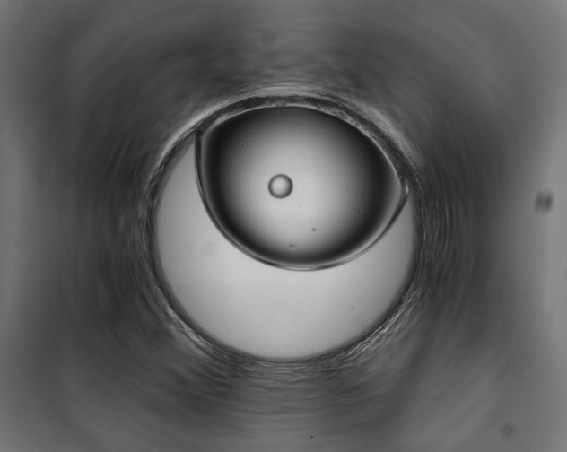 X0000101461356200807071420