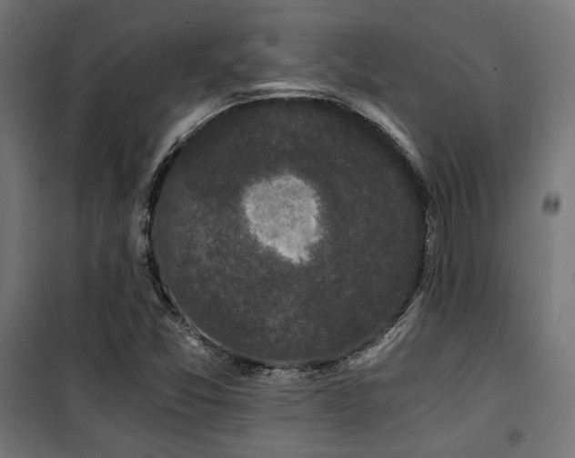 X0000101461357200807071420