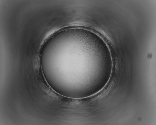 X0000101461358200807071420