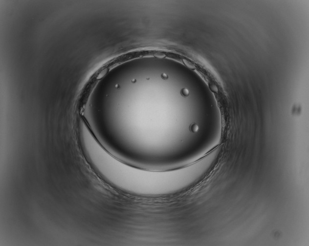 X0000101461360200807071420