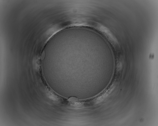 X0000101461361200807071420
