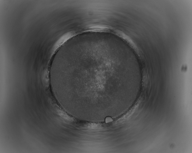 X0000101461362200807071419