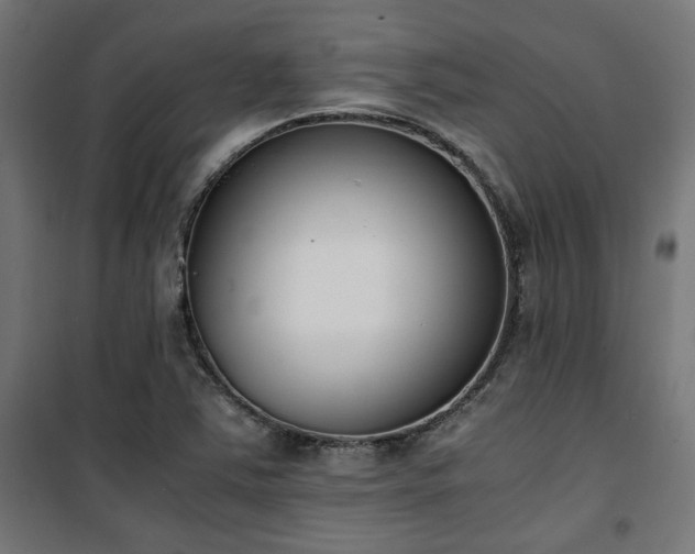 X0000101461363200807071419