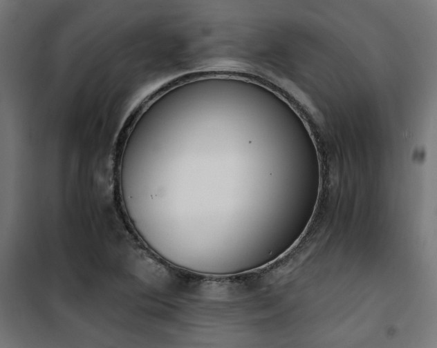 X0000101461364200807071419