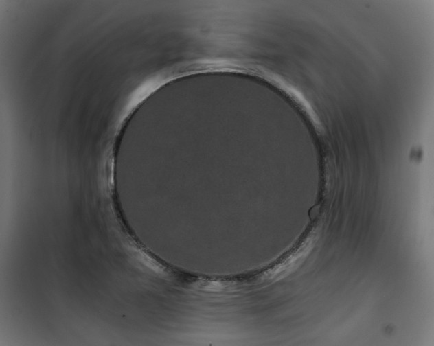 X0000101461365200807071419