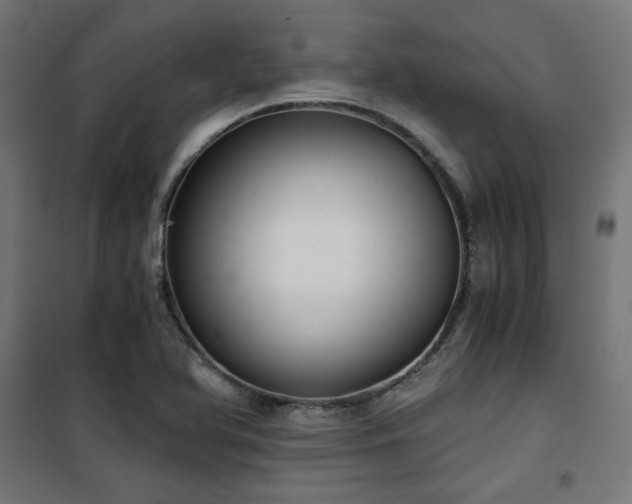 X0000101461366200807071419