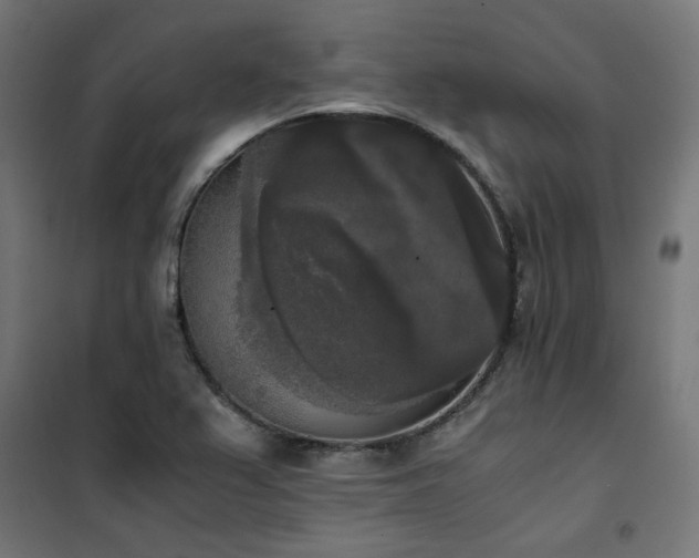 X0000101461367200807071419