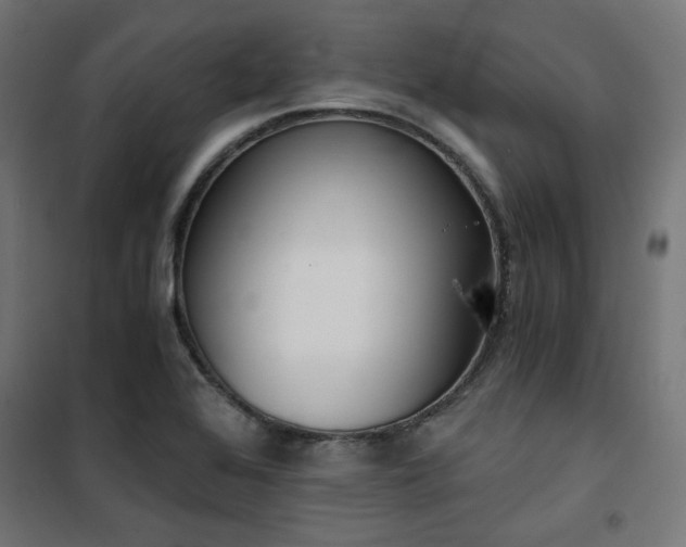 X0000101461368200807071419