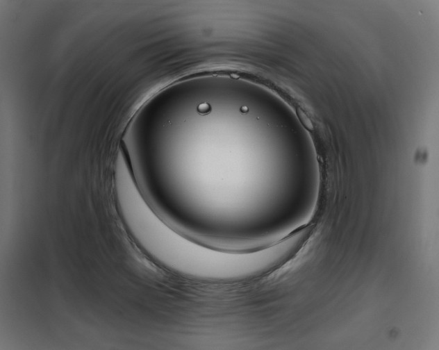 X0000101461369200807071419