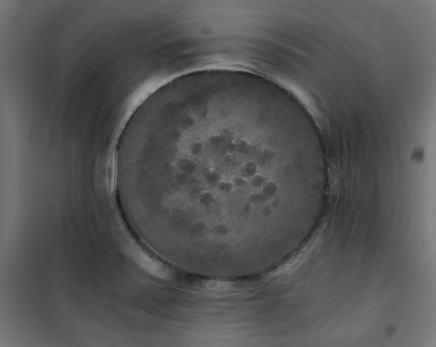X0000101461371200807071419