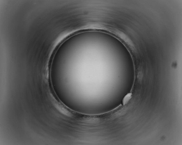 X0000101461372200807071419