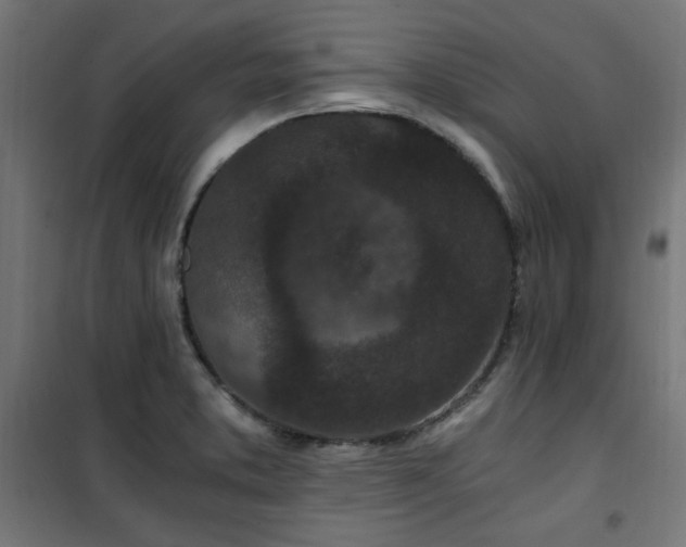 X0000101461373200807071419