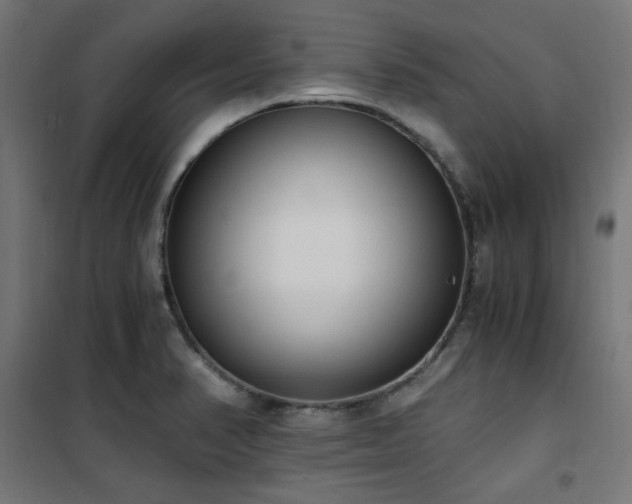 X0000101461374200807071419
