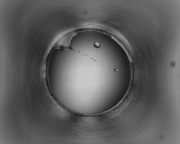 X0000101461376200807071419