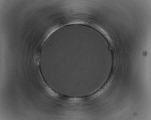 X0000101461377200807071419