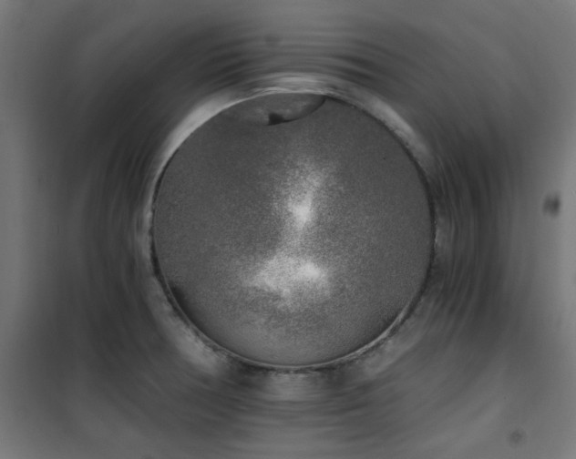 X0000101461378200807071419