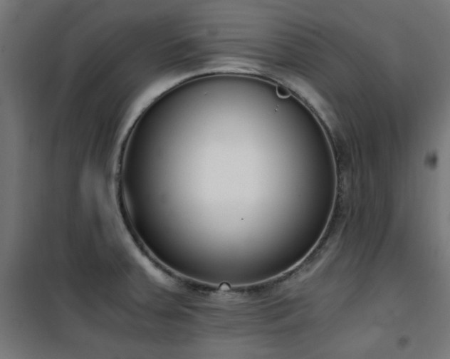 X0000101461379200807071419