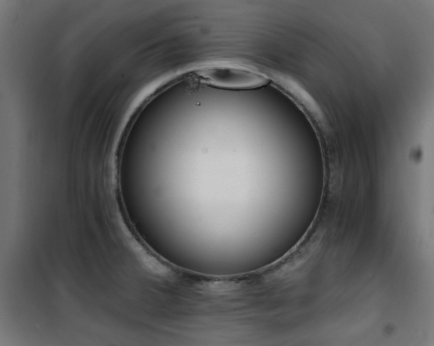 X0000101461380200807071419