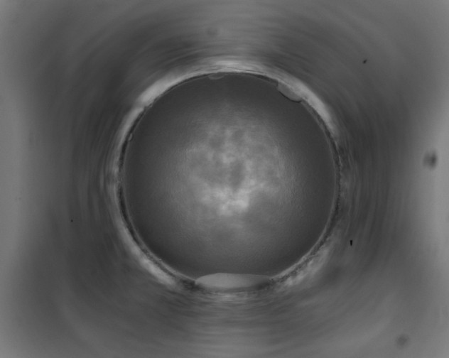 X0000101461381200807071419