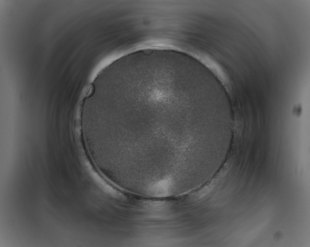 X0000101461382200807071419