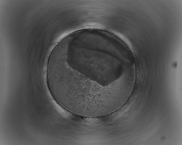 X0000101461383200807071419