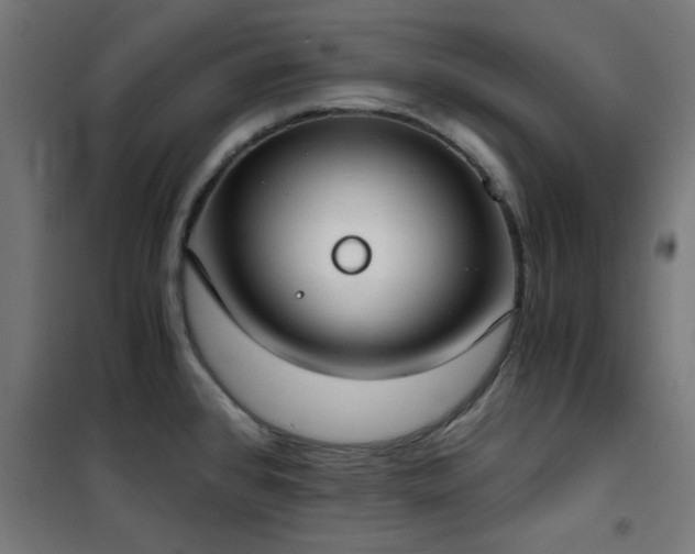 X0000101461384200807071419