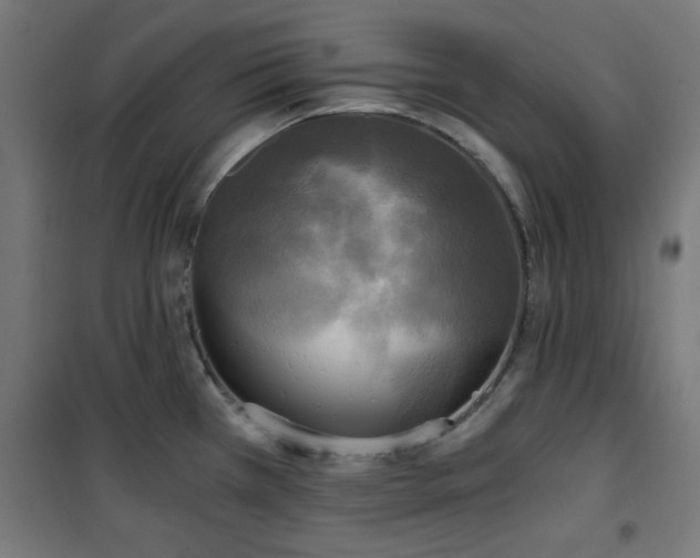 X0000101461385200807071419