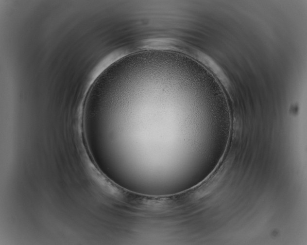 X0000101461386200807071419