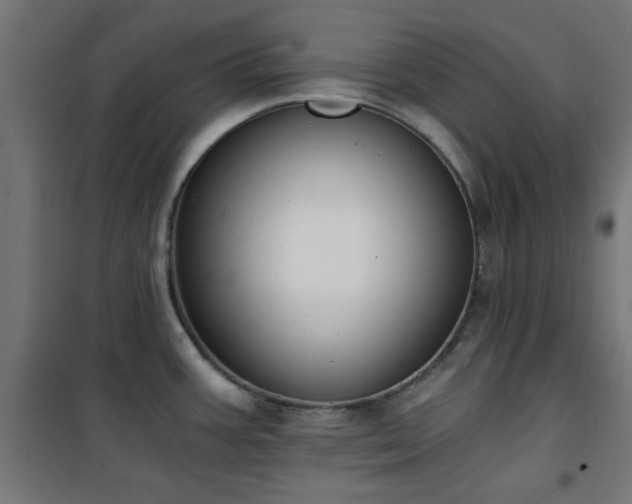 X0000101461387200807071419