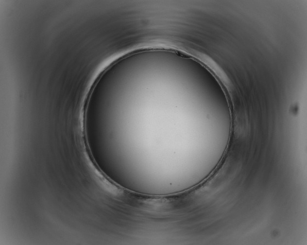 X0000101461388200807071419