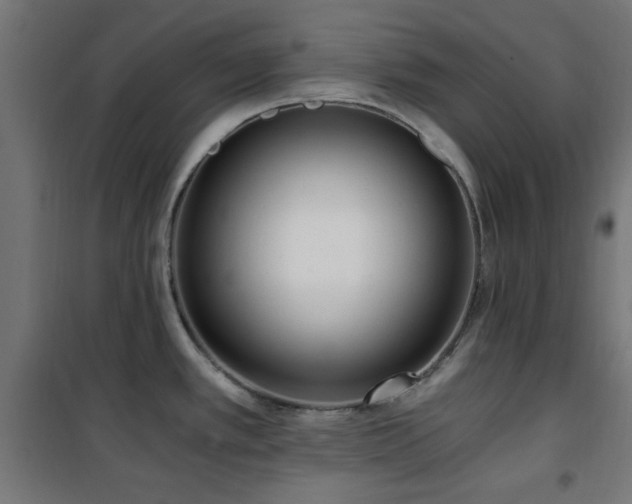 X0000101461389200807071419