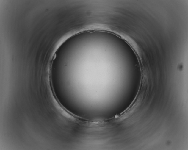 X0000101461390200807071419