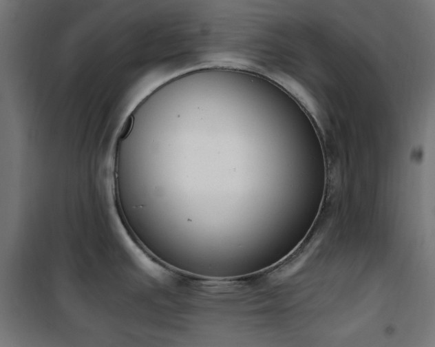 X0000101461391200807071419