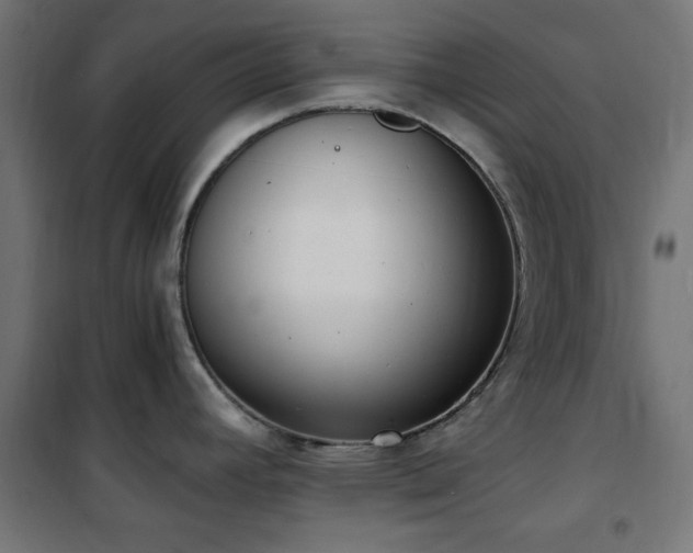 X0000101461392200807071419