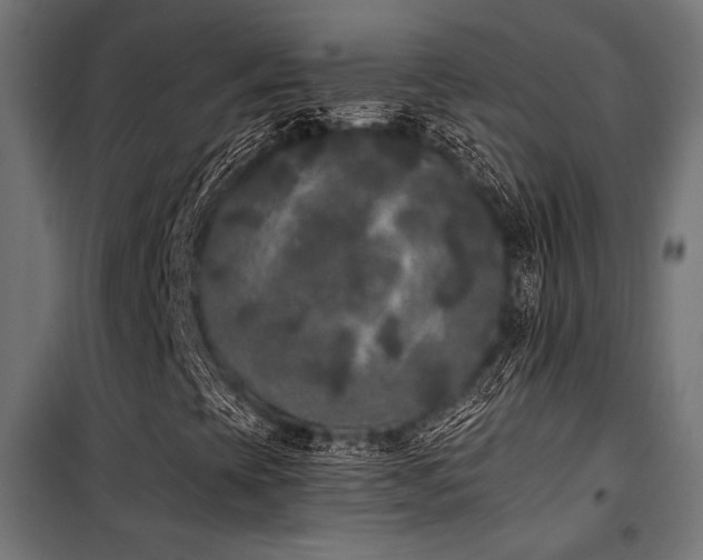 X0000101461393200807071418