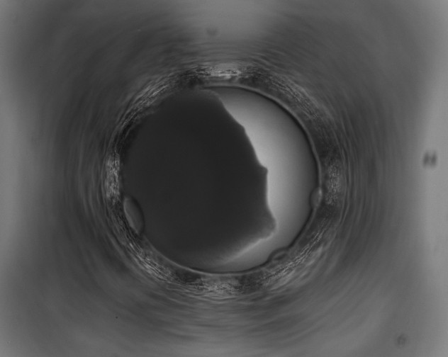 X0000101461394200807071418