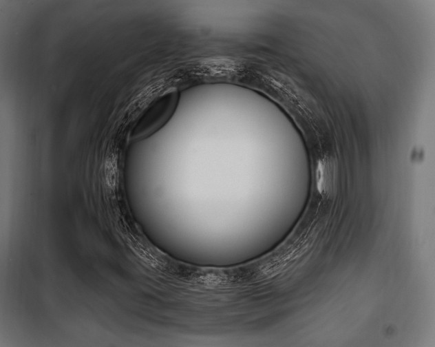 X0000101461395200807071418