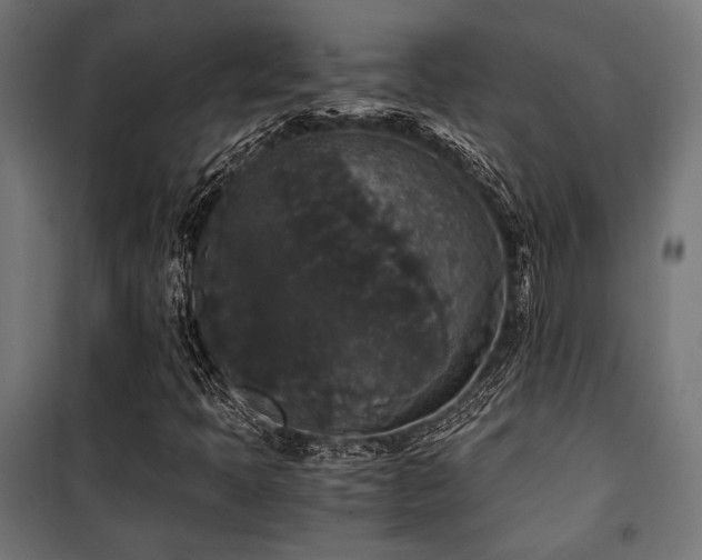 X0000101461397200807071418
