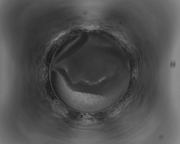 X0000101461398200807071418