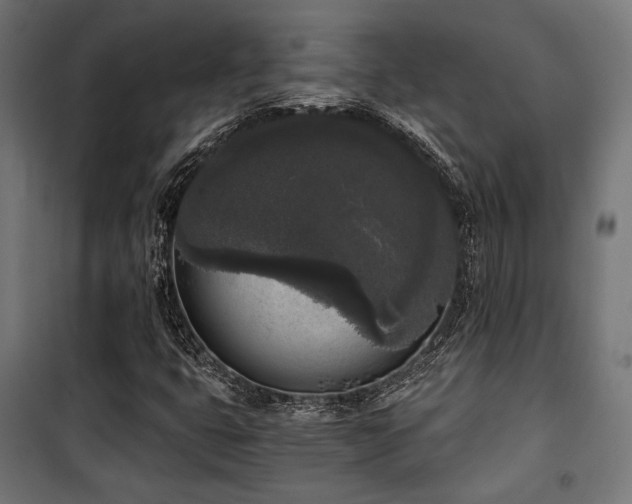 X0000101461399200807071418