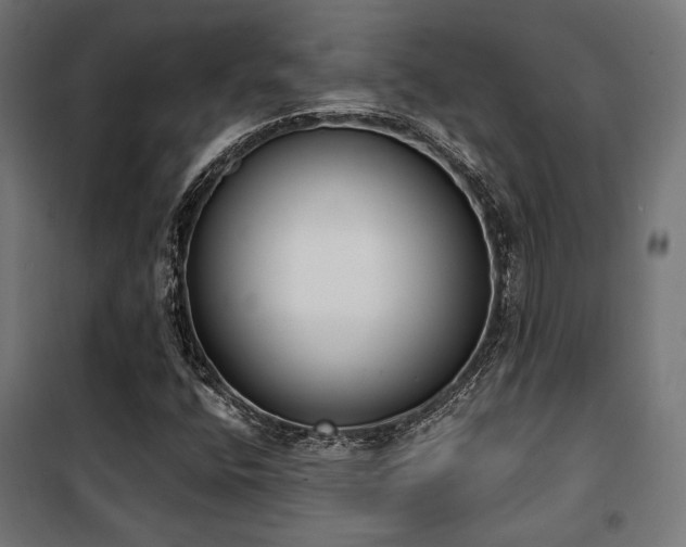 X0000101461400200807071418