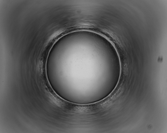 X0000101461402200807071418