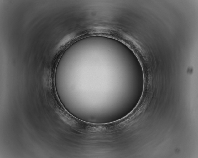 X0000101461403200807071418