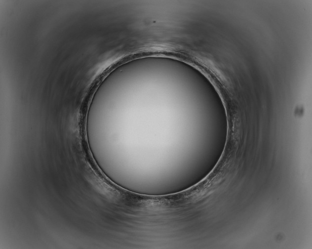 X0000101461404200807071418