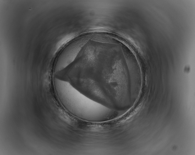 X0000101461405200807071418