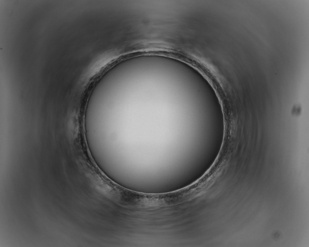 X0000101461407200807071418