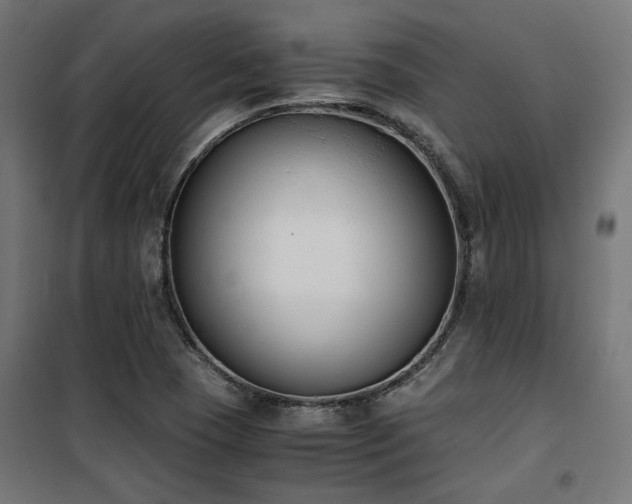 X0000101461409200807071418